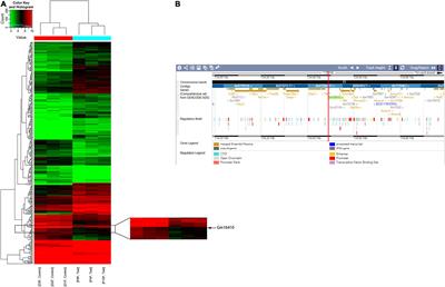 lncRNA Gm16410 Mediates PM2.5-Induced Macrophage Activation via PI3K/AKT Pathway